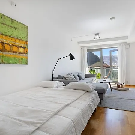 Apartment W Balcony Bergen